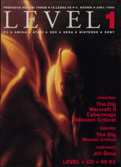 LEVEL 12